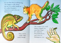 Chameleons are cool