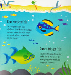 Usborne Under the sea Matching Games