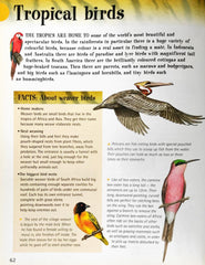 Encyclopedia Of Questions and Answers