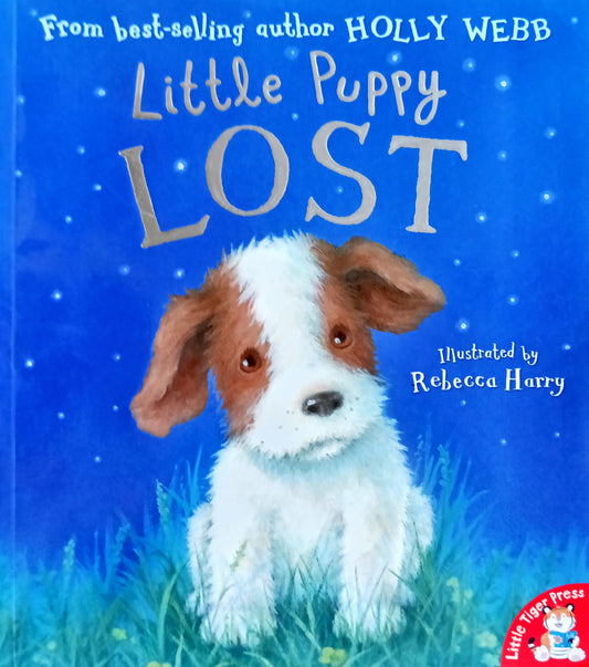 Little puppy lost