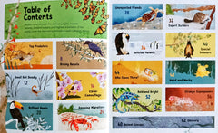 Barefoot books Incredible animals