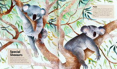 Barefoot books Incredible animals