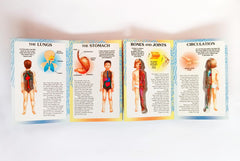 My first book of The Human Body