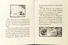 Peter Rabbit Combo Set 8 (5 Books)