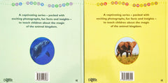All About Animal Combo (2 Books)