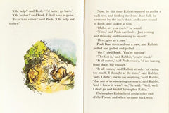 Winnie the Pooh Story Book Combo (4 books)