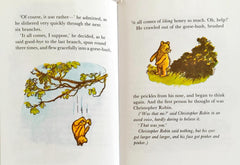 Winnie the Pooh Story Book Combo 2 (5 books)
