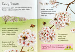 Usborne Begineers Combo (4 Books)