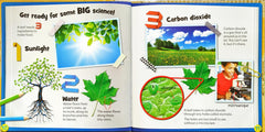 Why do Leaves Fall from Tree?