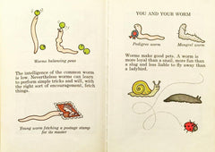 The Little Worm Book
