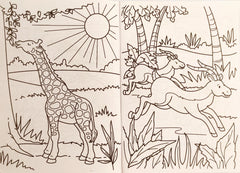 Colouring Book (Orange Book)