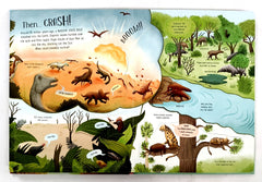 Usborne See inside Evolution (Flap Book)