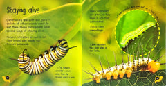 Life Cycles Combo Set 4 (2 Books)