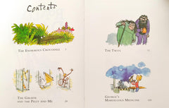 Roald Dahl Heroes and Villians