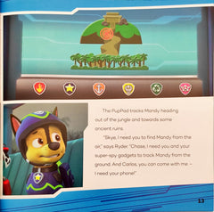 Paw Patrol Storybook Collection