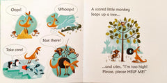 Usborne Phonics Reader Combo Set 20 (5 Books)
