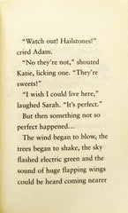 The King who Lives Next Door