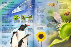 Usborne Little Encyclopedia Combo 2 (2 Books)