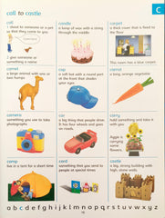 The Usborne Picture Dictionary