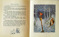 Robin Finds Christmas