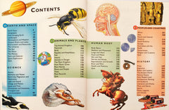 Kingfisher Encyclopedia of Questions and Answers