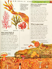 Kingfisher Encyclopedia of Questions and Answers
