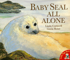 Baby Seal All Alone