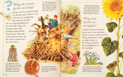 I Wonder Why Combo 6 (2 Books)