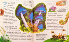 I Wonder Why Combo 6 (2 Books)