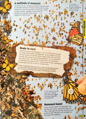 Discover the Awesome World