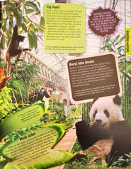 Discover the Awesome World