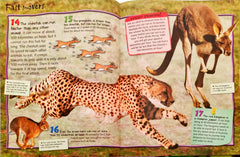 100 Facts Combo 2 (2 Books)