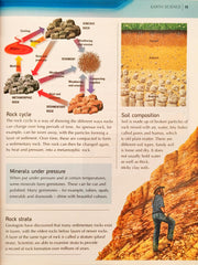 The Kingfisher Primary Encyclopedia