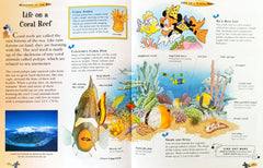 Disney The Wonderfull World Of Knowledge Set (3 Books)