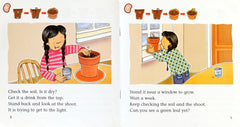 Big Cat Combo Set 2 (2 Books)