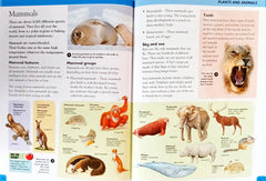 Oxford Why Doo.. Combo Set (10 Books)