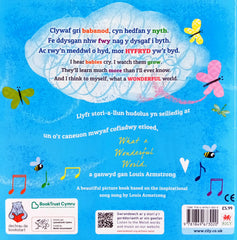 What a wonderful world