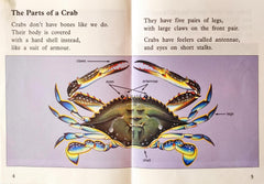 Crabs