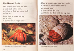 Crabs