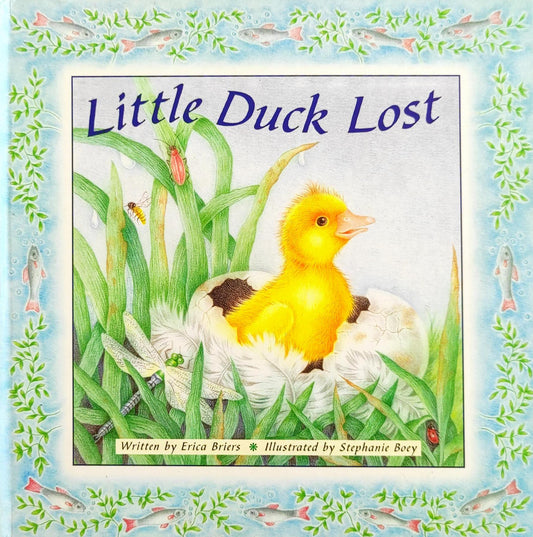 Little Duck Lost