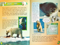 My Animal Kingtom All About Polar Bears