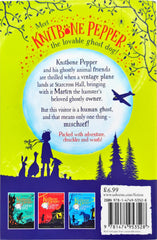 Usborne The Silver Phantom (Knitbone Pepper ghost Dog)
