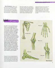 The Human Body (A World of Knowledge)