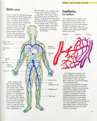 The Human Body (A World of Knowledge)
