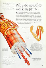 Human Body (Over 100 Questions and Answers)