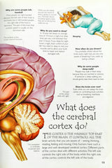 Human Body (Over 100 Questions and Answers)