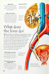 Human Body (Over 100 Questions and Answers)