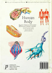 Human Body (Over 100 Questions and Answers)