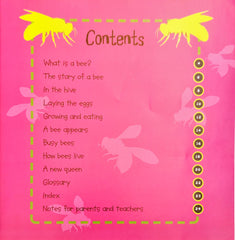 Life Cycles Combo Set 5 (3 Books)