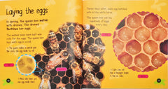 Life Cycles Combo Set 5 (3 Books)